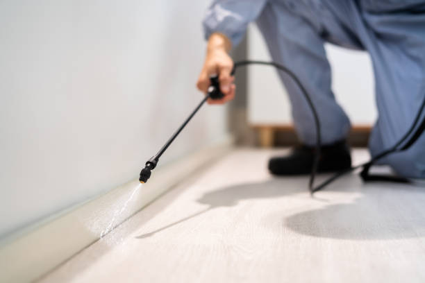Bed Bug Pre-Treatment Preparation Assessment in Gunbarrel