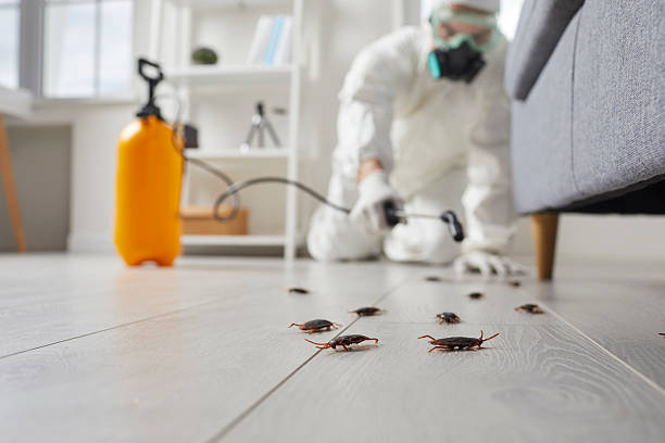 Post-Treatment Bed Bug Interceptor Monitoring in Gunbarrel