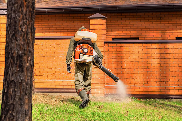 Bed Bug Clearance Verification and Documentation in Gunbarrel